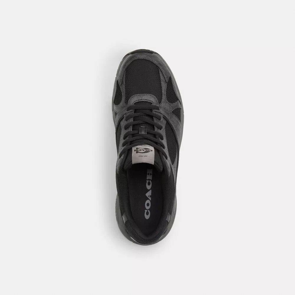 Sneaker sportive in Signature Canvas