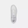 Sneaker Strider in Signature Canvas