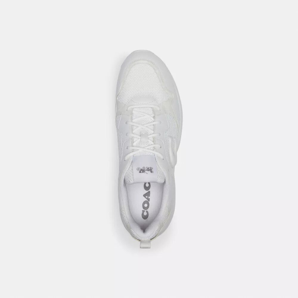 Sneaker Strider in Signature Canvas