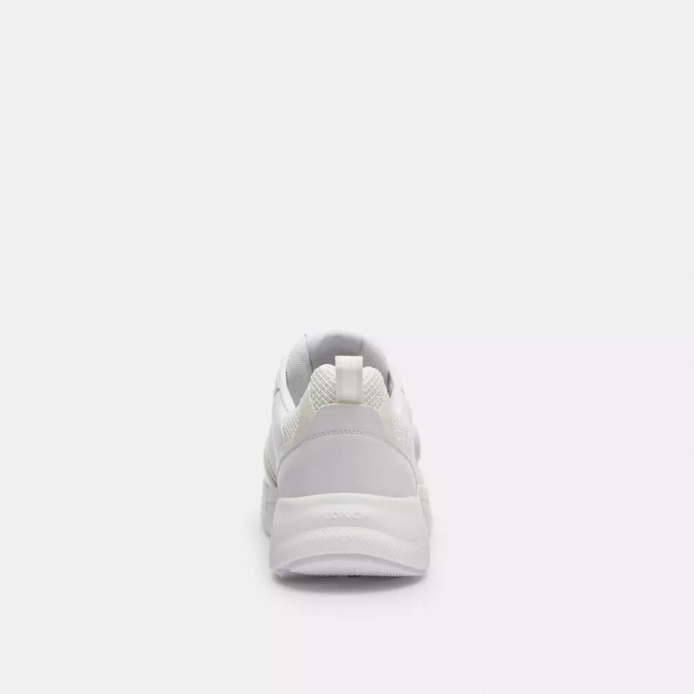 Sneaker Strider in Signature Canvas